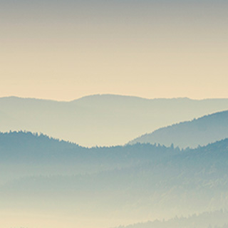 云呼短信测压网页版