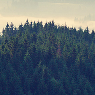 云呼短信测压网页版