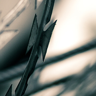 在线呼叫网页版软件