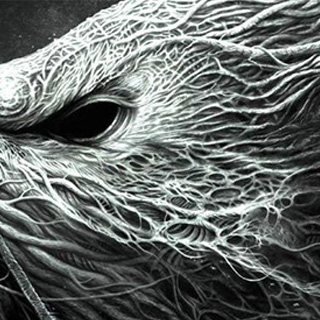 在线呼叫网页版软件